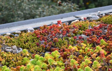 the cost of Dipley green roof installation