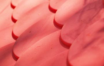 Dipley plastic roof costs