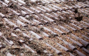 Dipley roof cleaning companies