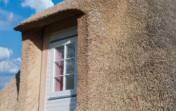 Dipley thatch roof disadvantages