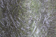 Dipley fibreglass roof work